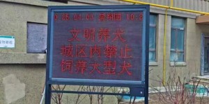 冰城公安喊你“牵绳铲屎”啦！