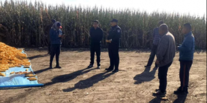 冰城公安：金秋护秋收  “警”色伴“丰”景