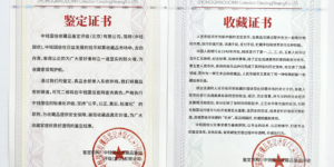 评级大典中国首套评级珍藏册