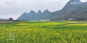 脱贫这五年｜从“悬崖边”到“幸福庄”，看大山深处布楞沟村的蝶变
